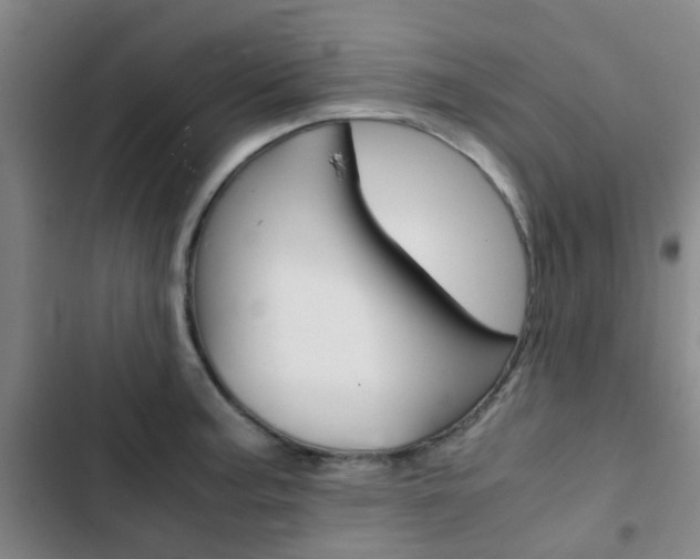 X0000103331187200809051015