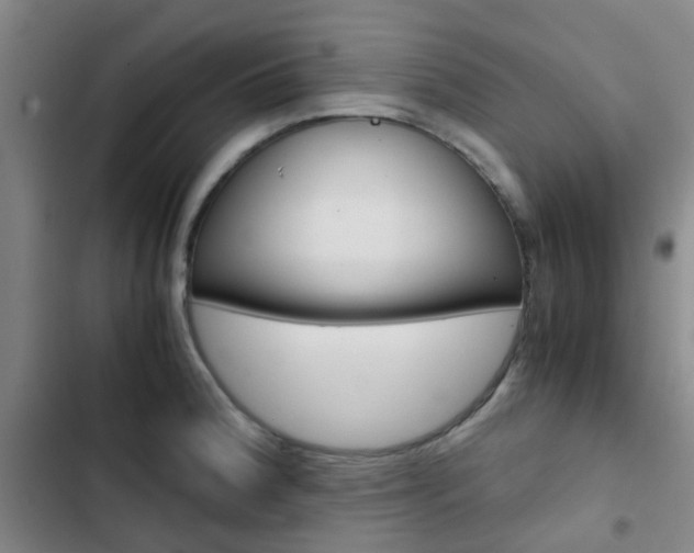 X0000103331188200809051015