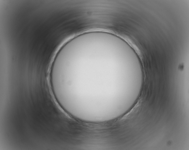 X0000103331189200809051015