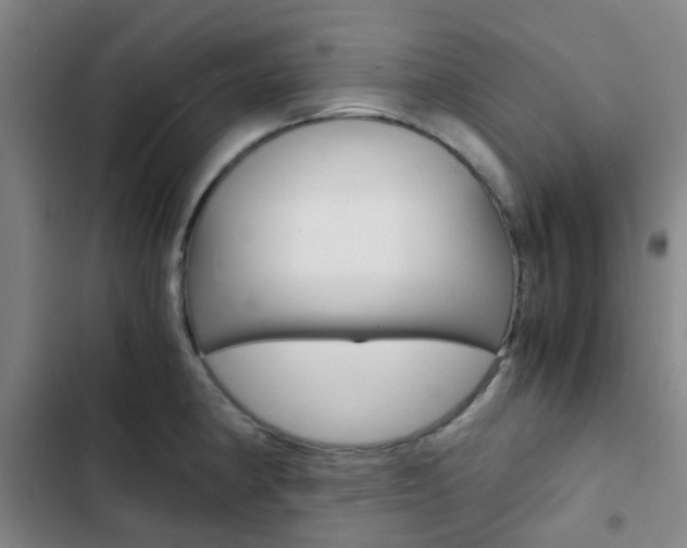 X0000103331190200809051015