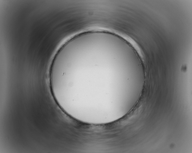 X0000103331191200809051015