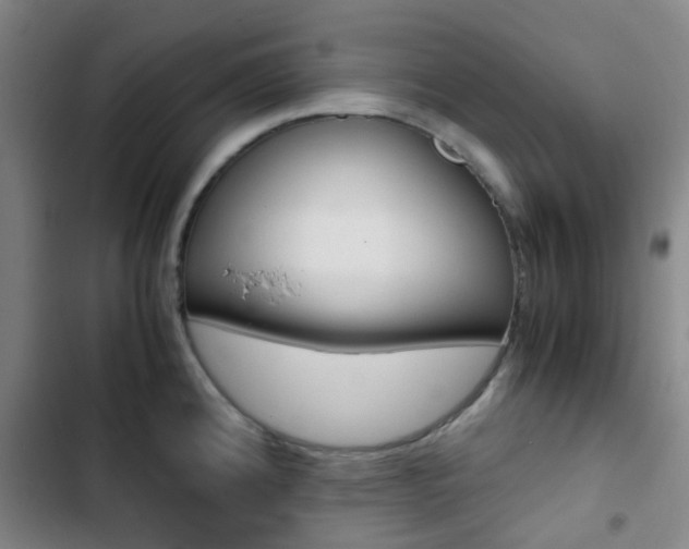 X0000103331192200809051015