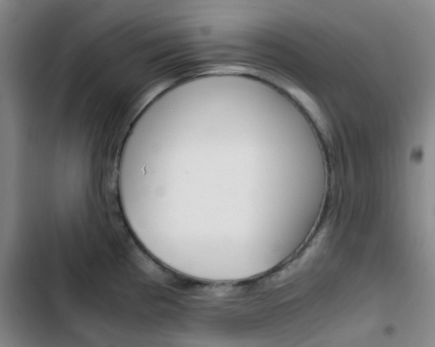 X0000103331193200809051015