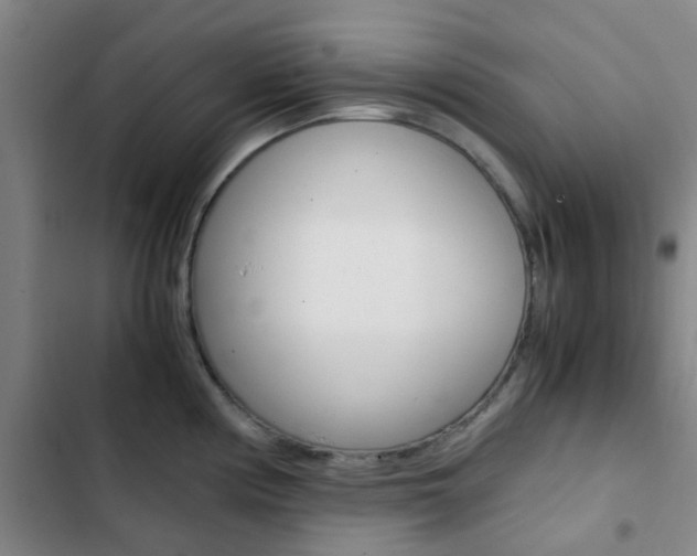 X0000103331194200809051014