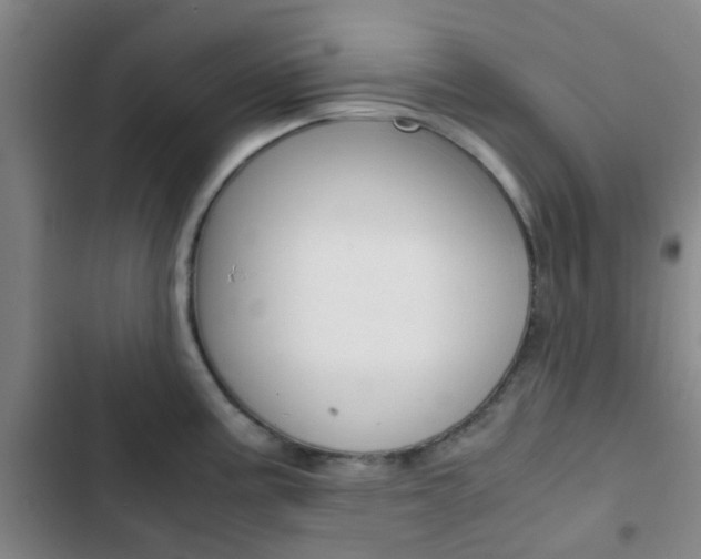 X0000103331195200809051014
