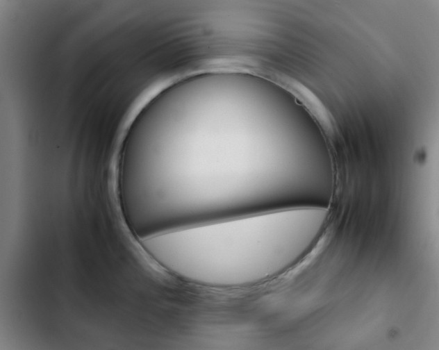 X0000103331196200809051014