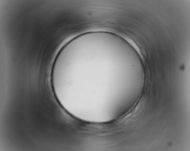 X0000103331197200809051014