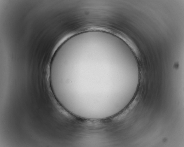 X0000103331198200809051014