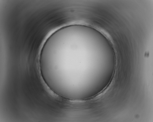 X0000103331200200809051014