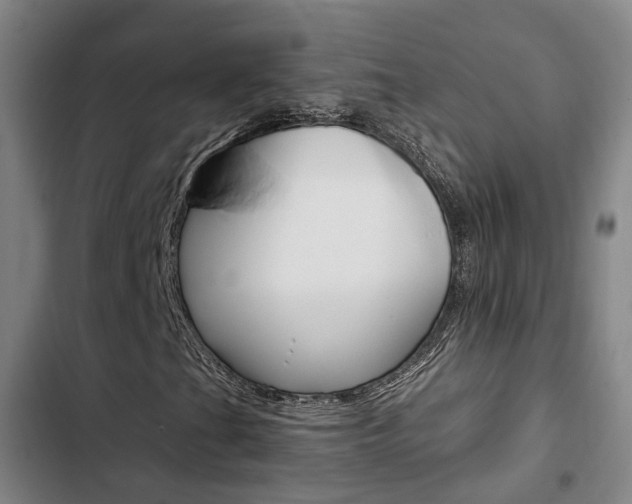 X0000103331201200809051014