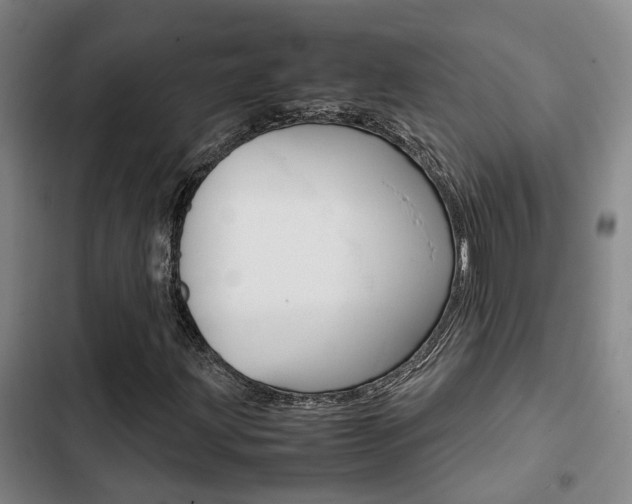 X0000103331203200809051014