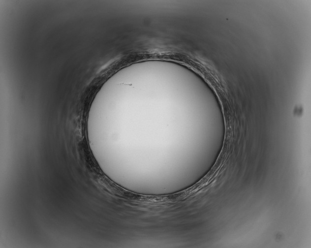 X0000103331205200809051014