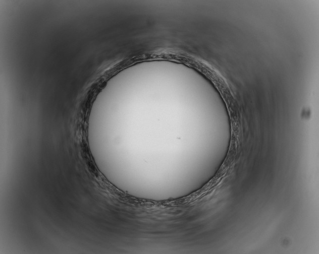 X0000103331207200809051014