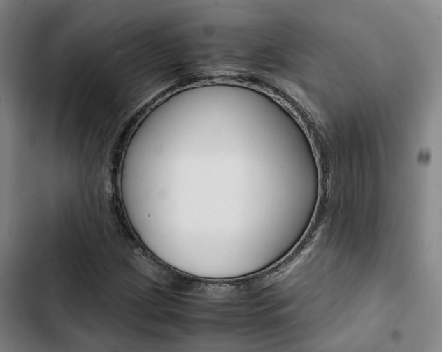 X0000103331209200809051014