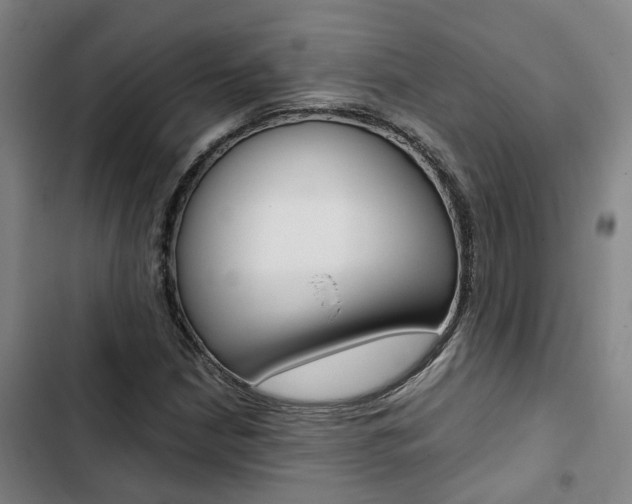 X0000103331210200809051014