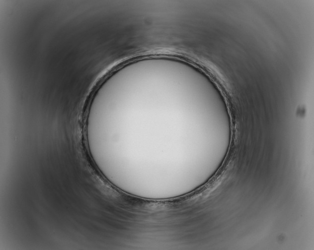 X0000103331212200809051014