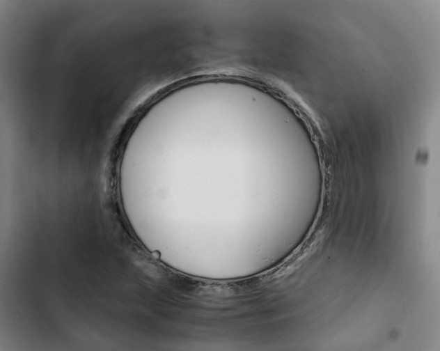 X0000103331215200809051014
