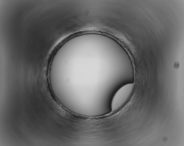 X0000103331216200809051014