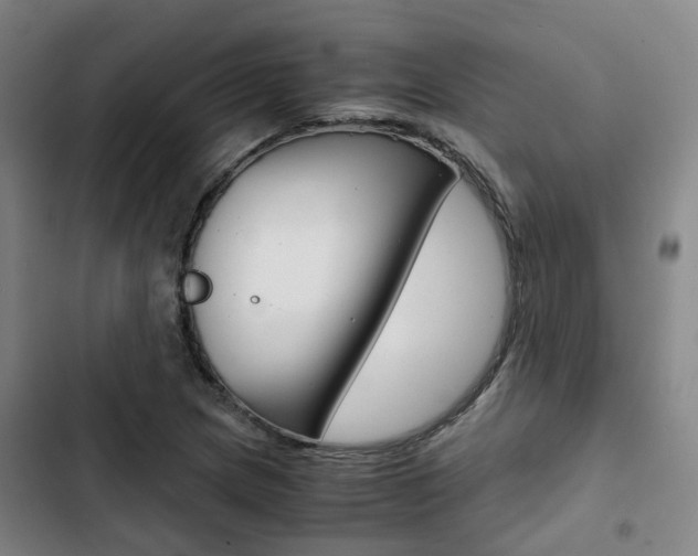 X0000103331217200809051014