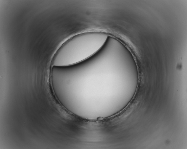 X0000103331220200809051014