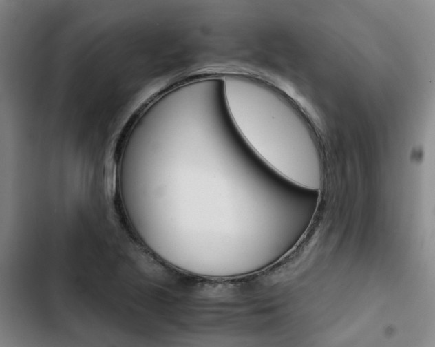 X0000103331221200809051014