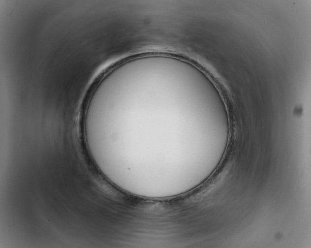 X0000103331222200809051014