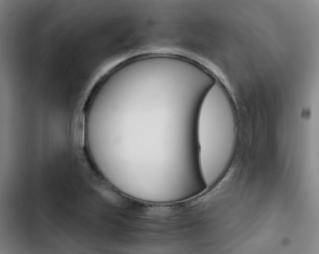 X0000103331223200809051014