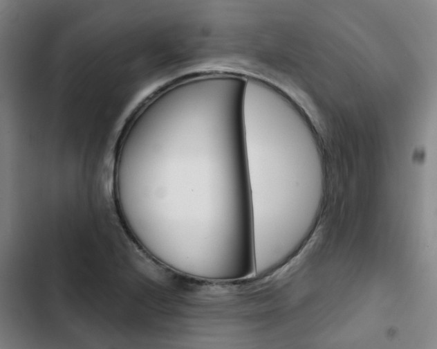 X0000103331224200809051014