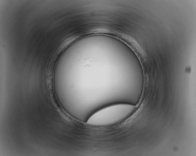 X0000103331225200809051014