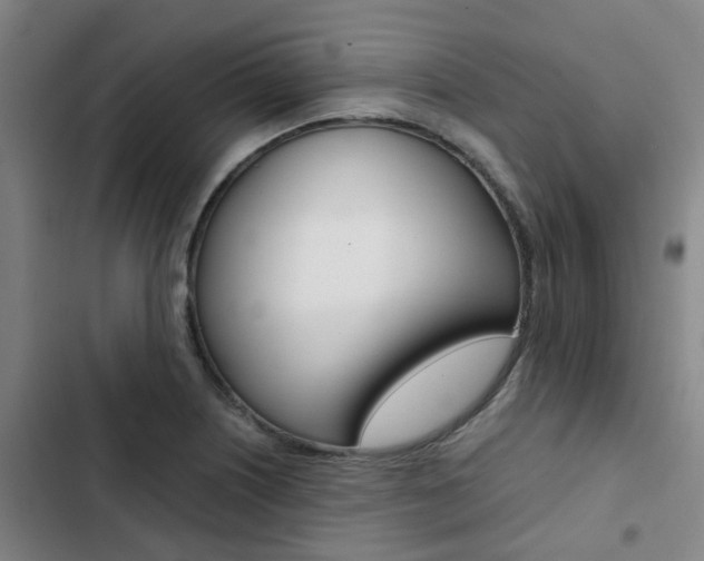 X0000103331226200809051014