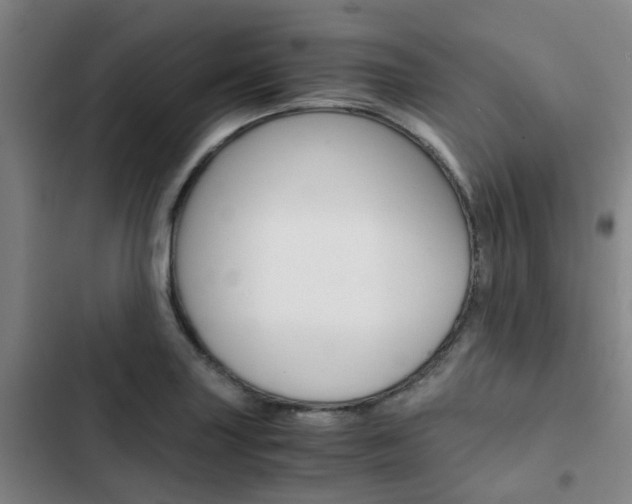 X0000103331227200809051014