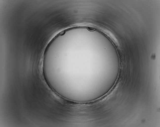 X0000103331228200809051014