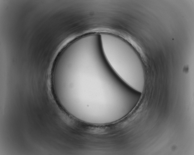 X0000103331229200809051014