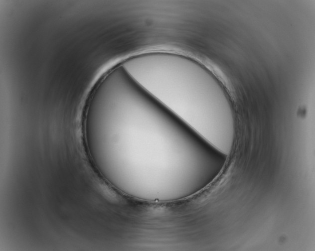 X0000103331230200809051014
