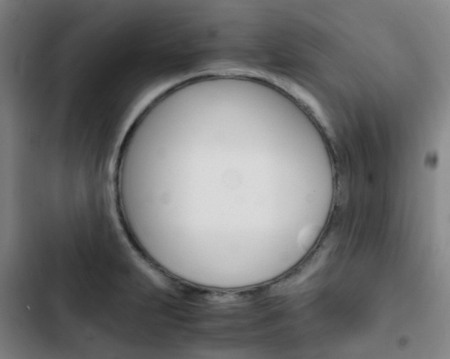 X0000103331231200809051014
