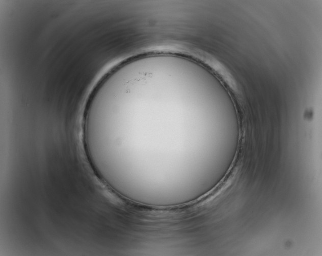 X0000103331232200809051014
