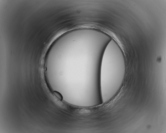 X0000103331235200809051014