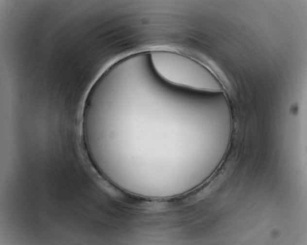 X0000103331236200809051014