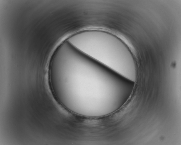 X0000103331237200809051014
