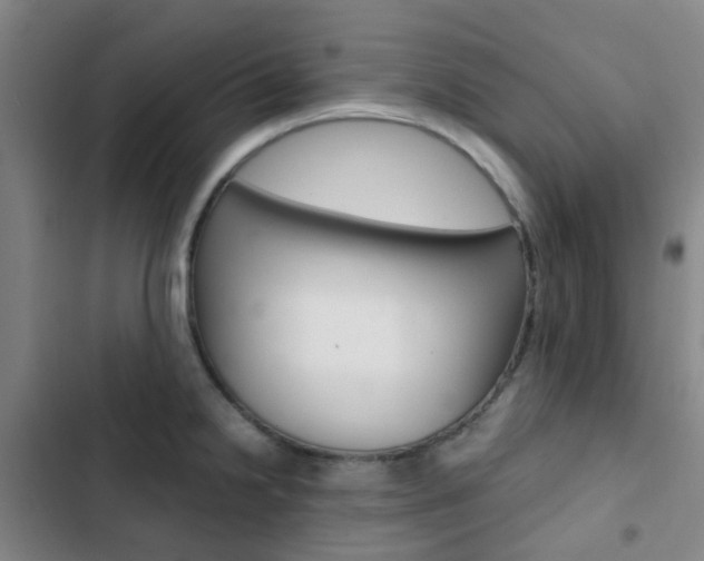 X0000103331238200809051014