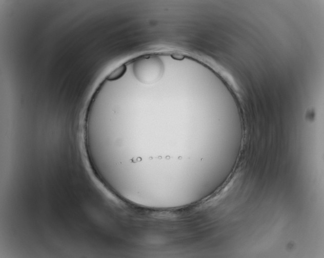 X0000103331239200809051014