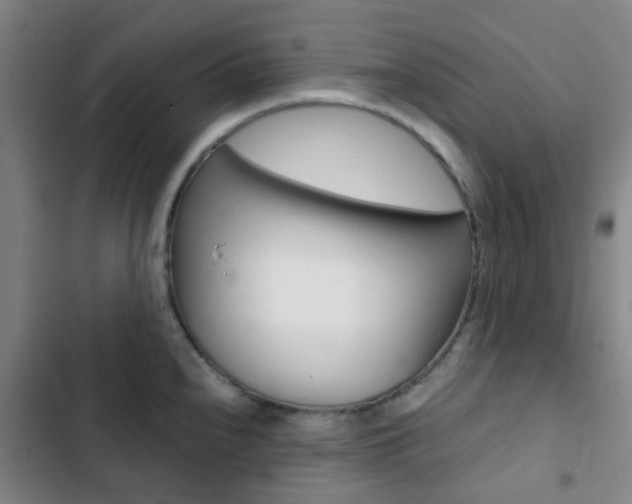 X0000103331240200809051014