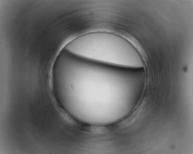 X0000103331242200809051014