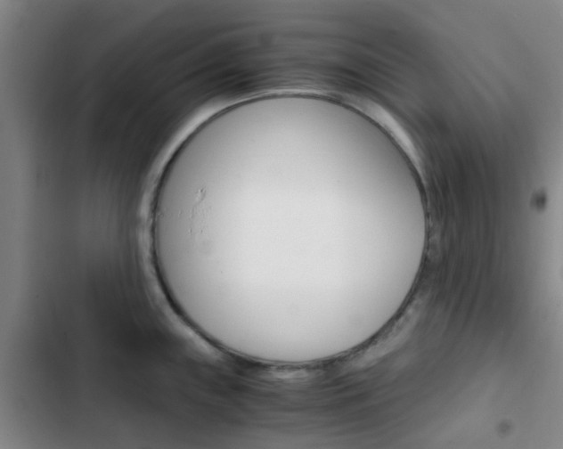X0000103331243200809051014