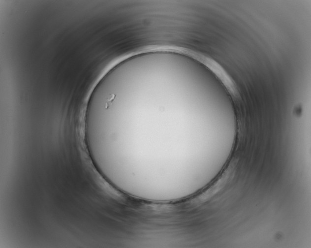 X0000103331244200809051014