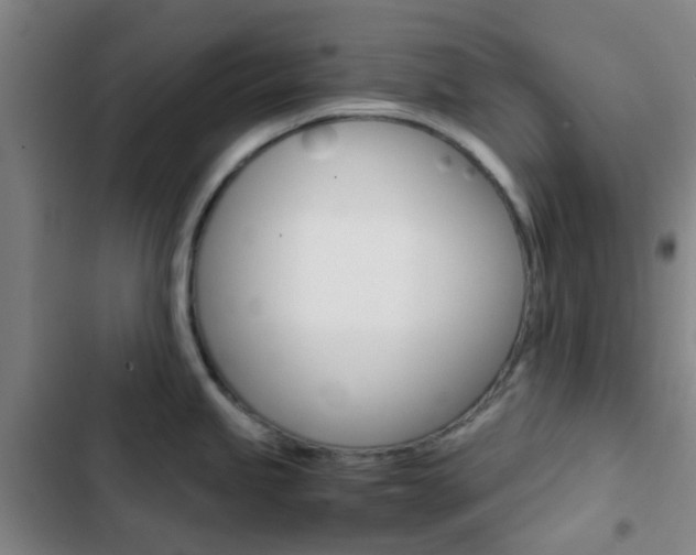 X0000103331245200809051014