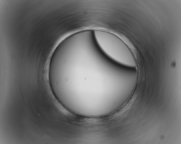 X0000103331246200809051014