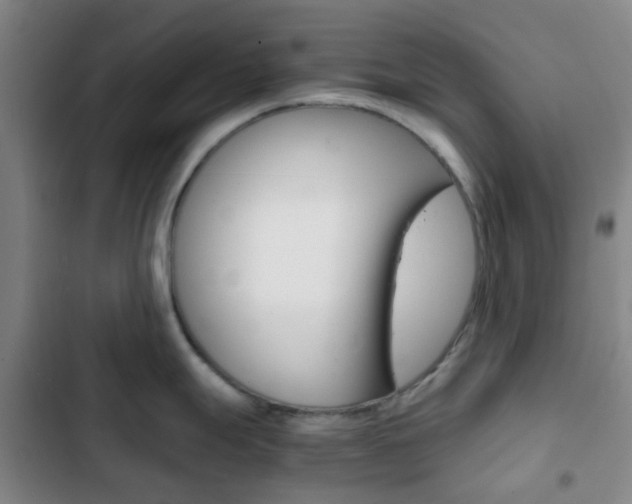 X0000103331247200809051014