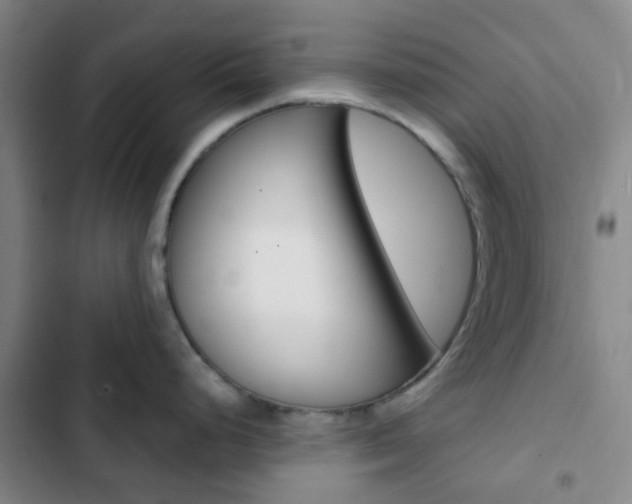 X0000103331248200809051014