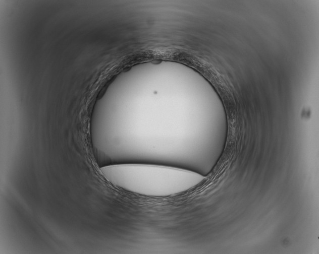 X0000103331249200809051014